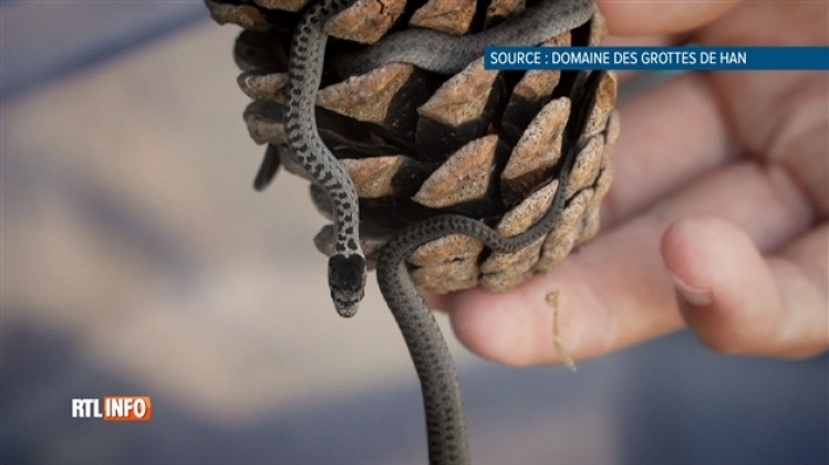 grab_20191229_210010_772