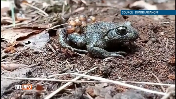 grab_20191229_210645_772