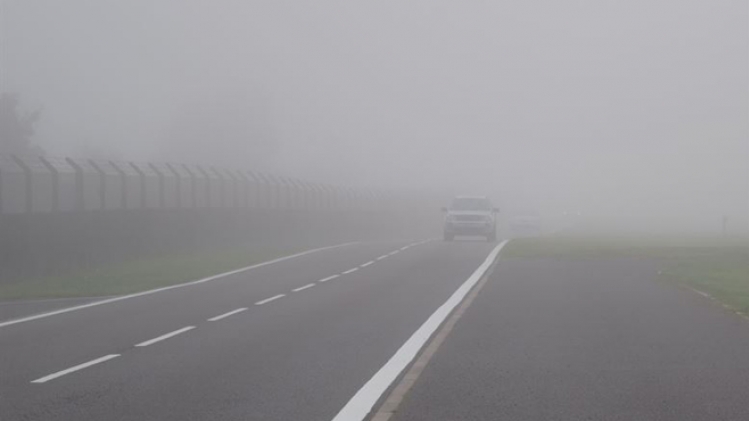 voiture-brouillard
