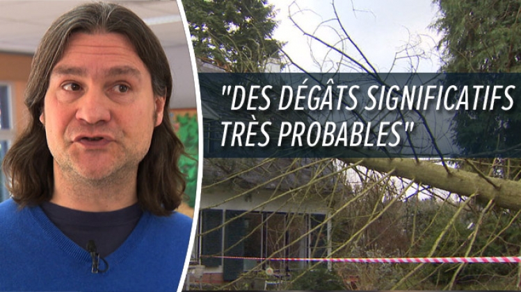 ALERTE sur toute la Belgique: une tempête avec des fortes rafales de vent va traverser notre pays