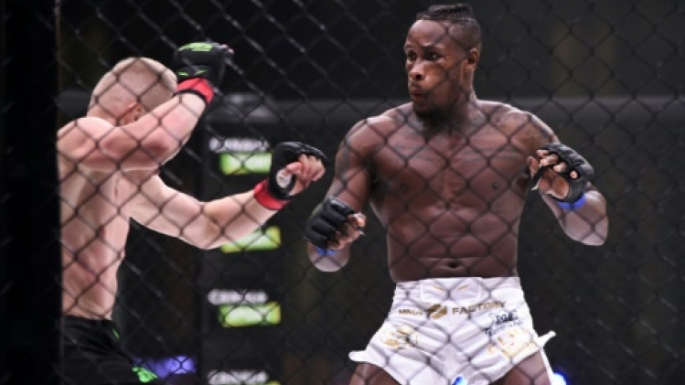 Légalisation du MMA : vers les premières licences en septembre 2020