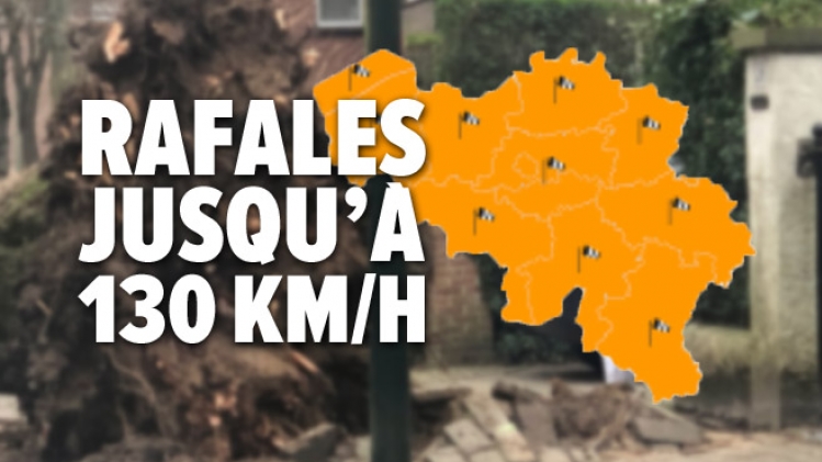 tempete ciara alerte vent irm rtlinfo