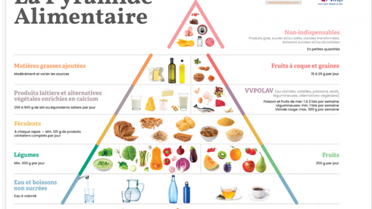 FIAW_Pyramide_pyramide-alimentaire-2020