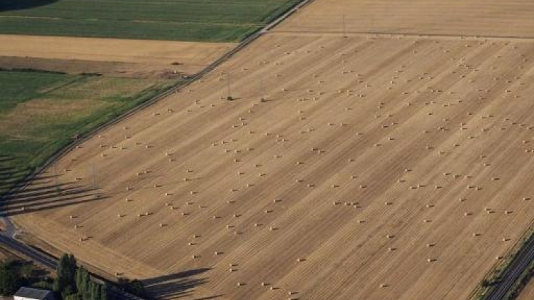 L'Europe donne 60 milliards d'euros à une agriculture qui détruit la biodiversité à grande échelle: 3600 scientifiques réclament du changement