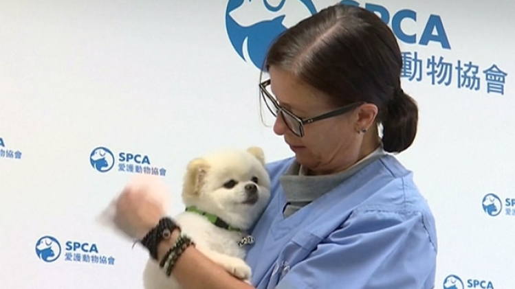 Grab_20200309_145103_356