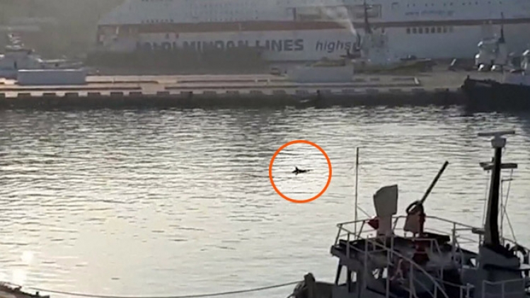 grab_20200320_113301_626