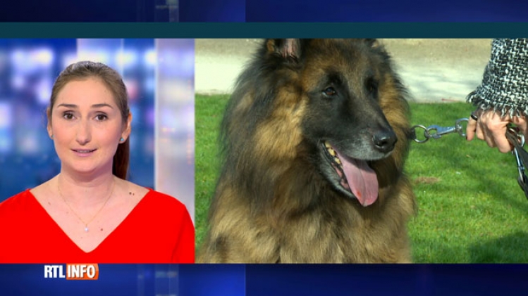 grab_20200423_133457_623