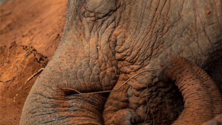 belgaimage-164170588