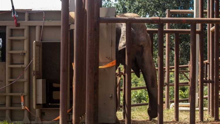 belgaimage-164170587