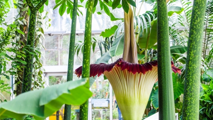 belgaimage-164175503-full