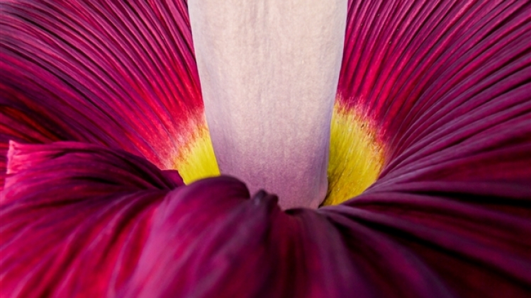 belgaimage-164175542-full