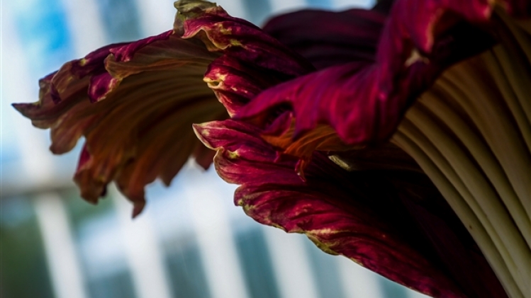 belgaimage-164175498-full