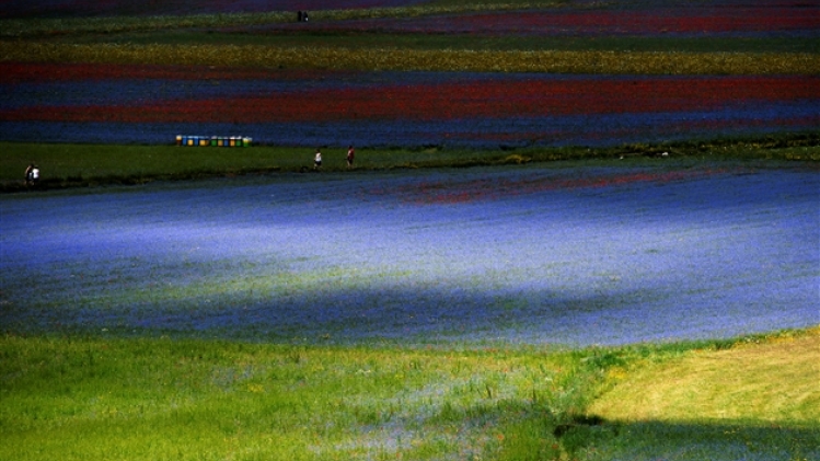 belgaimage-165890203