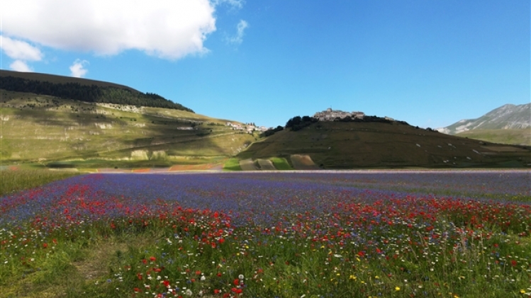 belgaimage-165890112