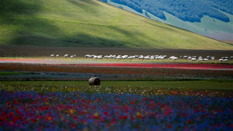 belgaimage-165890275