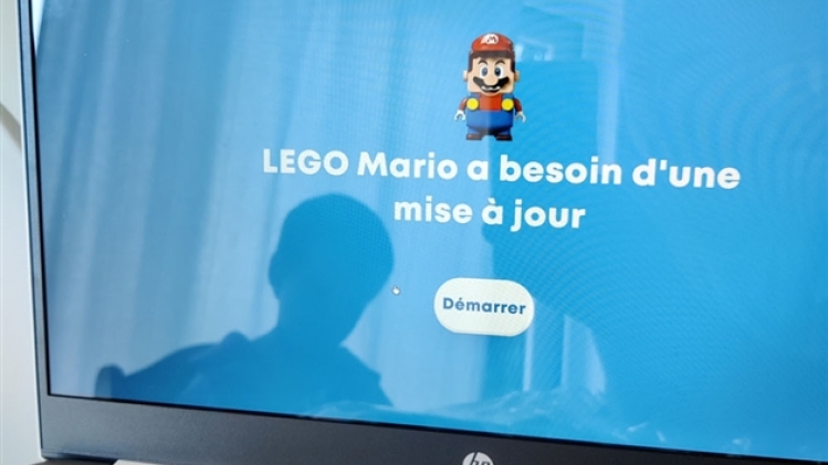lego mario003