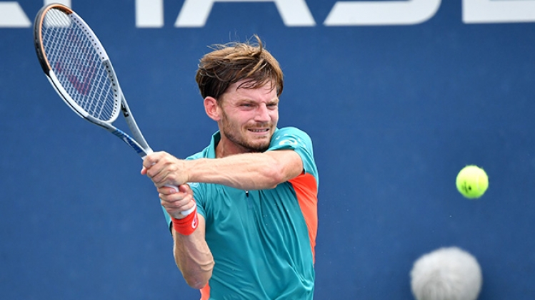 david goffin