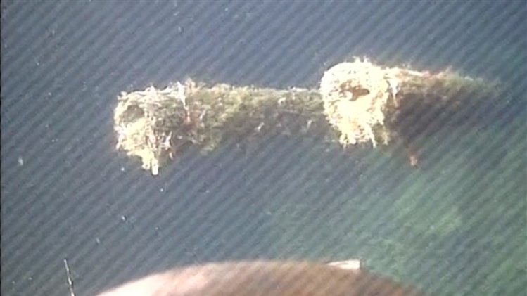 grab_20200911_095838_623