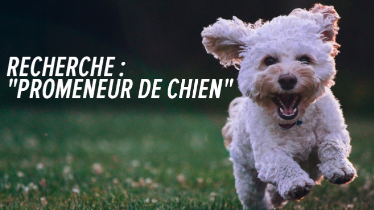 promeneur-chien