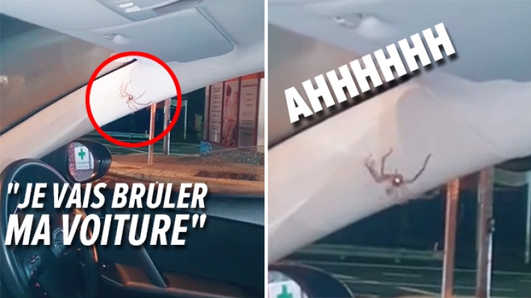 © Tiktok truthinlove44