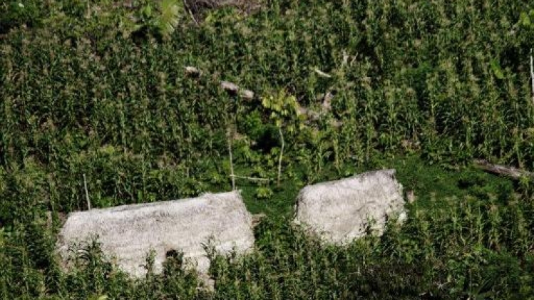 La forêt amazonienne a perdu la surface de l'Espagne en 18 ans