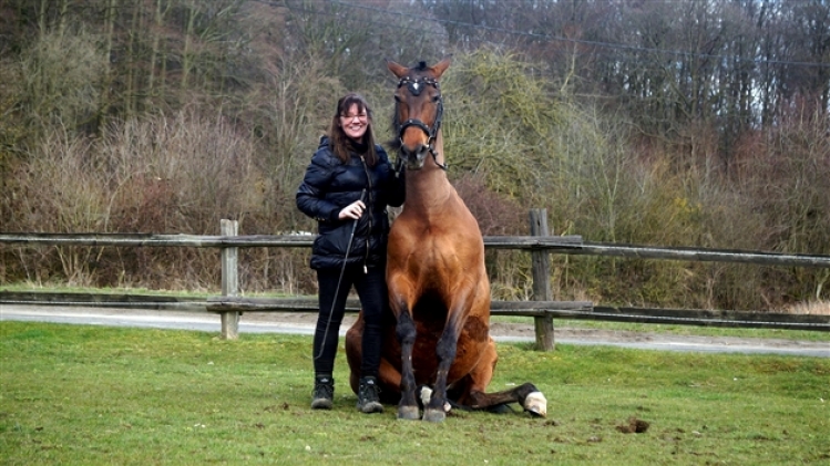 28828696_10216186891209530_8192910849230991885_o