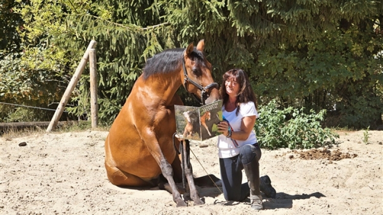 38701205_10217365680318521_9038502569827106816_o