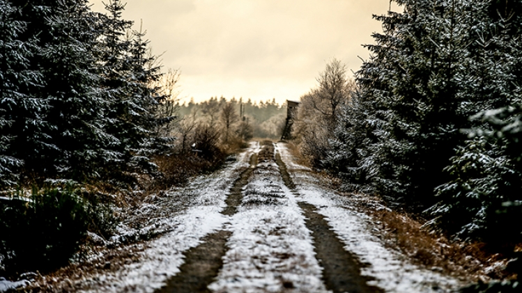 belgaimage-170964587-full