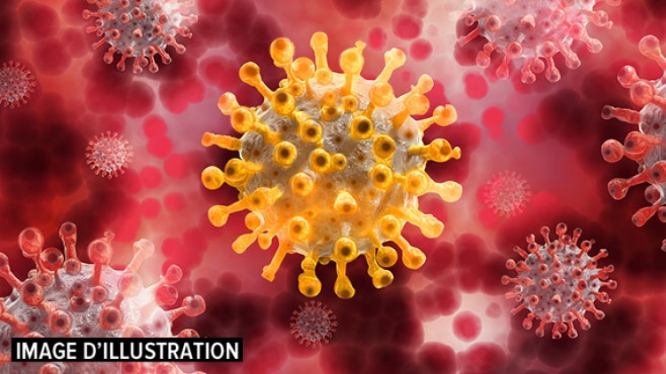 coronavirus-variant