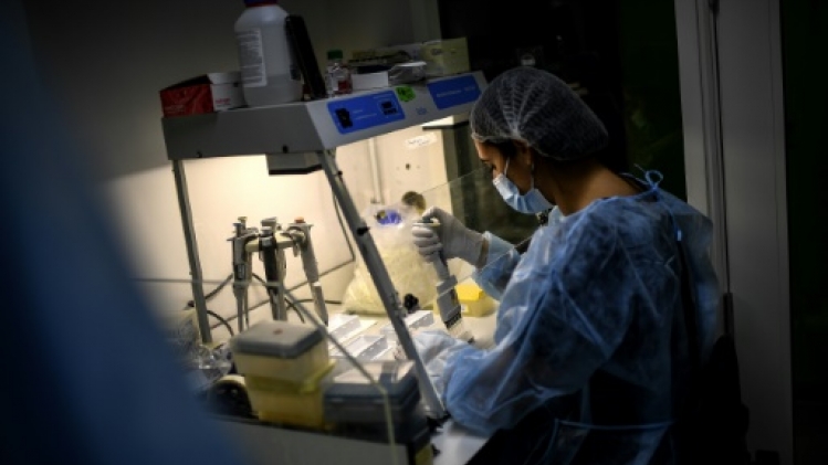 Covid-19: le séquençage, cet indispensable outil pour traquer le virus