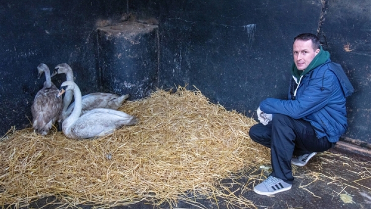 belgaimage-173340706