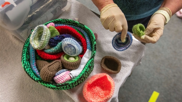 belgaimage-173340702