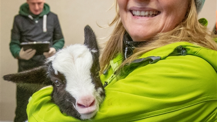 belgaimage-173340699