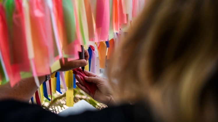 belgaimage-173804558