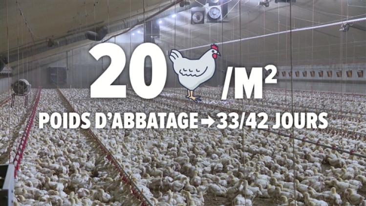 grab_20210328_114400_767