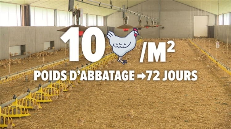 grab_20210328_114833_767