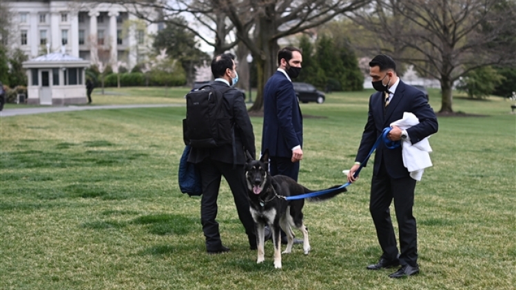 belgaimage-174801121