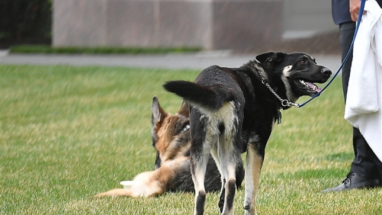 belgaimage-174801178