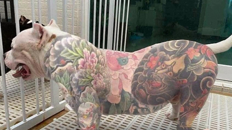 Grab_20210421_065418_543