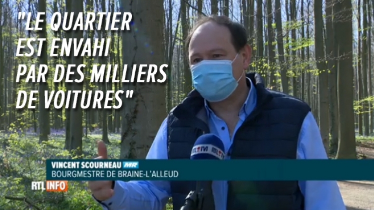 Des bourgmestres prennent des mesures pour empêcher un afflux de visiteurs au bois de Hal (vidéo)