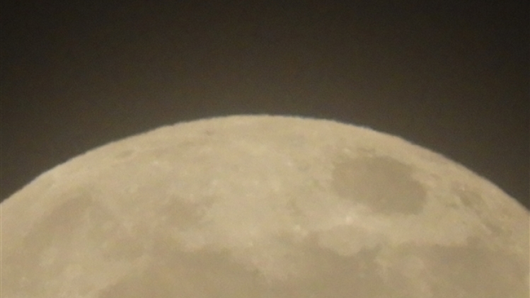 mandy goossens arsimont 1