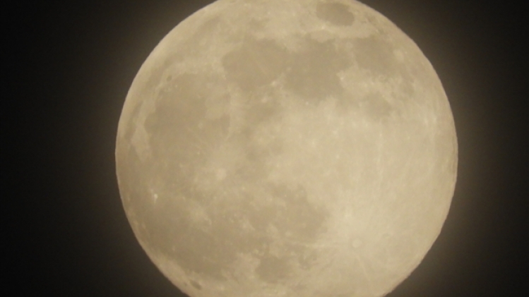 mandy goossens arsimont 3