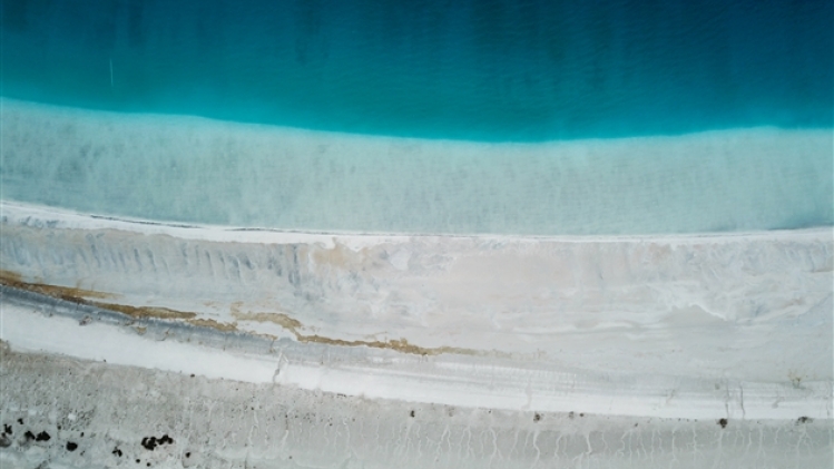 belgaimage-175549473