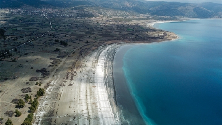 belgaimage-175549476