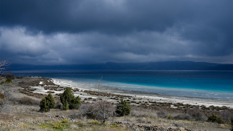 belgaimage-175549623