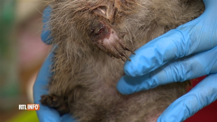 grab_20210515_133846_1