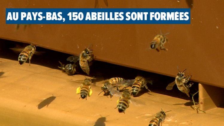 Grab_20210515_201218_989