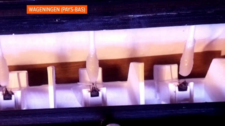 grab_20210515_200025_989