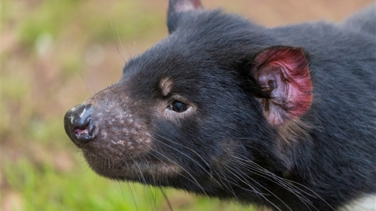 belgaimage-176798198