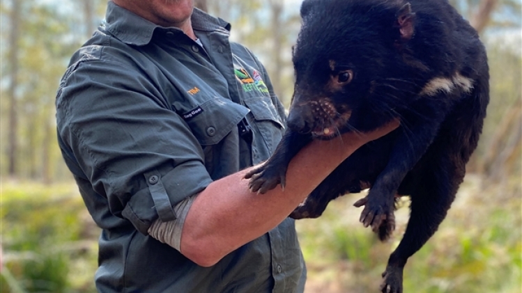 belgaimage-176798204